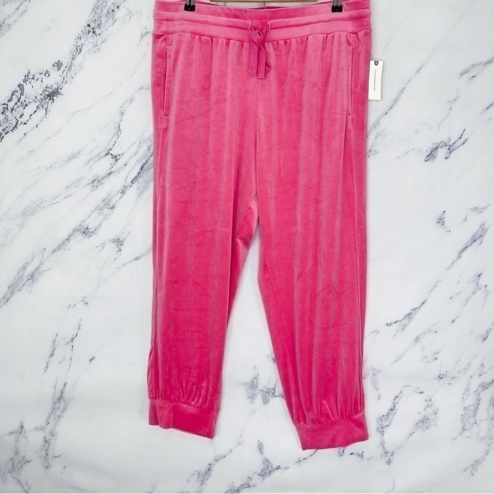 Anthropologie | Saturday/Sunday | Merida Velvet Joggers | Sz XL